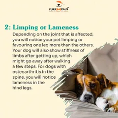 This detailed guide helps you identify the signs of arthritis in your dog. Learn to spot reluctance to move, limping, irritability when touched, and changes in behavior, so you can seek help sooner.