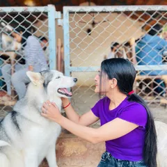 This beautiful Husky is getting some gentle scratches and affection. Building trust with each dog is the most important part of what I do.
