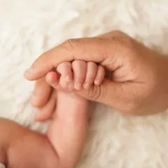 A newborn's hand wraps its tiny fingers around a parent's finger. This classic shot is a simple yet profound illustration of the bond between a parent and child.