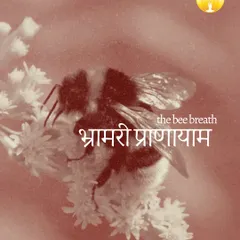 The Bee Breath, or Bhramari Pranayama, is a simple yet profound practice. It helps to quiet the mental chatter and connect you to the subtle vibrations within.