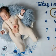Two months of sweetness and love. We also offer milestone sessions to track your baby's growth month by month.