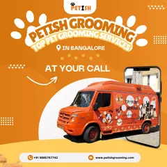 My top-rated pet grooming service is at your call. The bright orange van is a familiar sight for happy pets all over Bangalore.