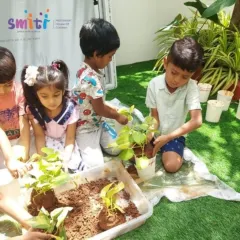 A group of children works together to pot plants in our garden. This hands-on activity connects them directly with the earth and the life cycle of plants.