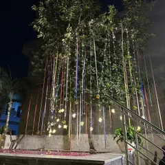 We love decorating natural elements. This tree was adorned with colorful ribbons and hanging star lights, adding a whimsical touch to the Diwali celebration.