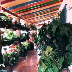 We filled this long corridor with life by adding rows of hanging baskets and large potted plants. This is a great way to create a green walkway and a welcoming entrance.
