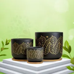 My Kyna series features black terracotta pots with elegant golden leaf patterns, available in three sizes. Each pot comes with a wooden tray, providing a sophisticated, imported look that elevates any indoor plant.