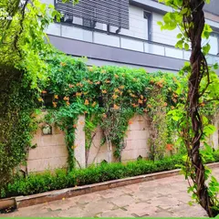 A boundary wall transformed into a living green curtain with flowering creepers and lush foliage. This is a great example of vertical landscaping to add privacy and beauty.