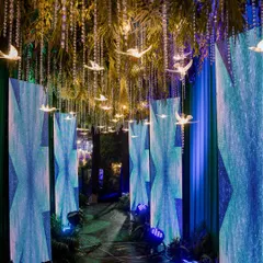 An immersive celestial sangeet entrance. Guests walked through a corridor lined with LED screens showing cosmic visuals, with a canopy of hanging crystal birds and greenery overhead.