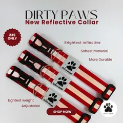 A similar product shot showcasing the bright red version of my standard reflective collars. You can see the quality of the stitching and the secure buckle.
