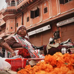 A flower seller in a Jaipur market, surrounded by bright orange marigolds. The colors and her proud expression capture the creative and daring spirit of the local people.
