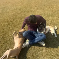 Celebrating a birthday with our three musketeers. Moments like these, filled with cuddles and trust, are what we live for.
