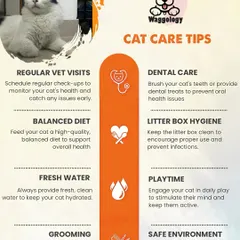 This comprehensive checklist covers essential cat care tips to keep your feline friend healthy and happy, from vet visits and dental care to playtime and litter box hygiene.