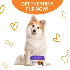 A healthy coat is a shiny coat. This happy pup is sitting with my 2-in-1 Coat Treatment Mask, a product I designed to give fur that extra gloss and softness.