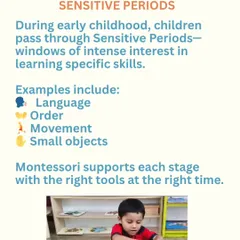 'Sensitive Periods' are windows of intense interest in specific skills. I am trained to recognize these stages and provide the right tools, whether it's for language, order, or movement, to make learning feel effortless.