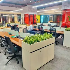 Here is a look at a large-scale open-plan office I transformed into a greener, more productive space. Strategically placed planters with air-purifying snake plants help define work zones and reduce stress for the entire team.