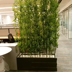 Artificial bamboo planters serve as excellent natural-looking dividers in an office. They provide semi-privacy for cubicles and define walkways while adding a sense of height and tranquility to the space.