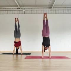 The urge to fly has to be greater than the fear of falling. Here, my friend and I are practicing handstands in the studio. My classes focus on building the confidence and physical strength to get you comfortable with being upside down.