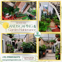 Our residential landscaping services cover a wide range of spaces within your home. We design and maintain everything from lush greenery for stairways and entryways to fully landscaped patios and covered outdoor lounges, creating a cohesive green theme throughout your property.