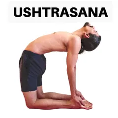 Ushtrasana (Camel Pose) is a deep backbend performed on the knees. It stretches the entire front of the body and is excellent for relieving neck and back pain caused by slouching.