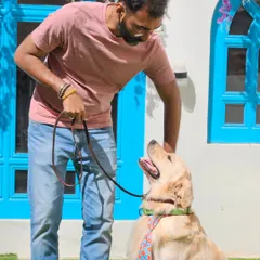 This is what it's all about. A happy dog reunited with his parent after a day of pampering. The bond between a dog and their human is the most special thing in the world.