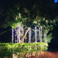 Even a single tree can become a beautiful decor element. Here, we wrapped a tree with vertical strands of fairy lights, creating a weeping willow effect that added a touch of magic to the garden setting.