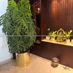 A single, bold plant can redefine a room. Here, a large Monstera Deliciosa in a hammered gold planter adds a touch of luxurious, tropical elegance to this living space with rich wood paneling.