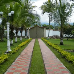 A classic farmhouse entrance with a brick-paved driveway flanked by lush green lawns, manicured hedges, and stately palm trees.