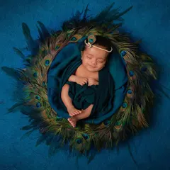Our special 'Little Krishna' themed newborn shoot. We create a serene and beautiful setting with peacock feathers and soft fabrics to capture your little one as a divine 'natkhat Nandlal'.