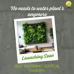 A sneak peek of our upcoming innovation: the self-watering vertical garden. We are making it easier than ever to have a stunning green wall that requires almost no maintenance.