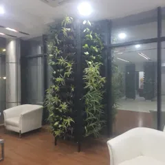An indoor vertical garden installed at Era Infra Eng. Ltd, designed as a freestanding green partition to divide a waiting area while improving the office environment.
