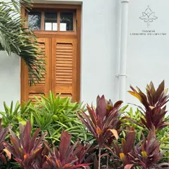 The rich, deep red of Cordyline plants creates a stunning contrast against the building's white wall and the surrounding green foliage. I use contrasting colors to create depth and visual impact in my planting designs.