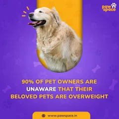 Did you know that up to 90% of pet owners don't realize their pet is overweight? Excess weight can lead to serious health problems, but recognizing it is the first step toward a healthier life for your companion.