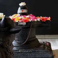 A Shiva Lingam adorned with fresh flowers, a beautiful offering of devotion. Bhakti yoga, the path of devotion, is a central part of my practice and teachings.