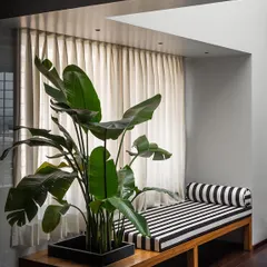 This custom timber bench in the Pink Marble House features an integrated planter box, literally bringing greenery into the master bedroom lounge. The striped cushion adds a graphic touch to this sun-drenched spot under a skylight.