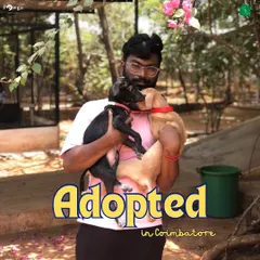 Adopted in Coimbatore. A proud new pet parent holds two adorable puppies, one black and one tan, who found their forever home through our adoption drive with HAS Coimbatore.