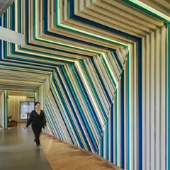 A key feature of the Kadence Office is the immersive corridor, where coded striations in shades of blue and green wrap from the walls to the ceiling. This element, inspired by soundwaves, also functions as an acoustic barrier and incorporates ambient lighting.