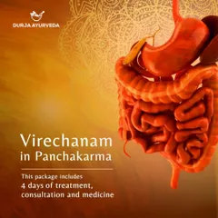 A visual representation of Virechana's focus on the gastrointestinal tract. This therapy is a cornerstone of Panchakarma for deep internal purification and digestive health.