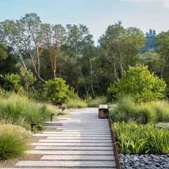 A modern pathway made of long, narrow concrete pavers set into a gravel bed. The path is flanked by native grasses and leads to a simple wooden bench, blending seamlessly into the naturalistic landscape.
