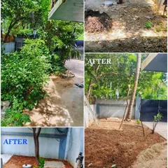 This collage shows the full process of a garden restoration. We cleared the overgrown area, removed debris, and laid down fresh, nutrient rich soil to prepare for new planting.