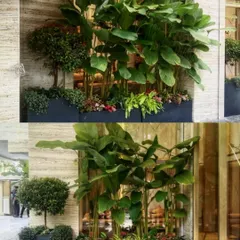 A gorgeous green setup at one of our recent sites. This layered arrangement in large modern planters creates a lush, private screen and a beautiful exterior view.