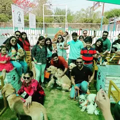It was an absolute blast hosting the team from EY for a corporate pet day. I create these events to give employees a chance to relax with their furry family members, complete with games and fun in a safe, open-air environment. This group picture captures the amazing community vibe of the day.