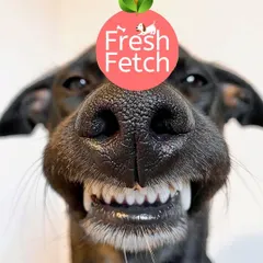 That big, happy grin says it all. Fresh Fetch equals yummy food, and yummy food equals pure doggo woohoo-ness.