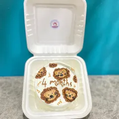 A clear, bright shot of our lion-themed bento cake against a blue background, highlighting the cute, hand-piped lion faces.
