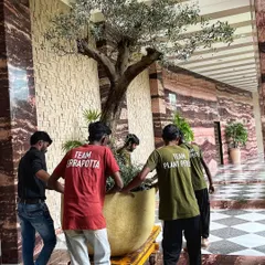 That's a plant drop! Our power squad, Team Plant People, wheels in a colossal Spanish Olive tree in a giant planter for a luxury apartment.