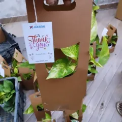 The final touch makes all the difference. This Golden Pothos is presented in our convenient cardboard carrier, complete with a custom "Thank You" tag for Jakson, making it a thoughtful and easy-to-distribute event giveaway.