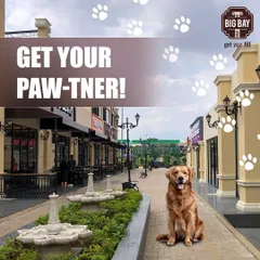 Get your paw-tner! This happy golden retriever is enjoying our spacious, pet-friendly walkways. Big Bay is the perfect spot for you and your best friend.