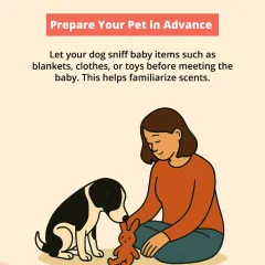 Prepare your pet in advance by letting them sniff baby items like blankets and clothes. This helps familiarize them with the new scents before the baby arrives.