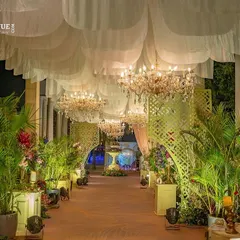 This enchanting walkway is lined with lush potted plants and illuminated by a series of sparkling chandeliers hanging from a canopy of white drapes. It feels like stepping into a secret garden.