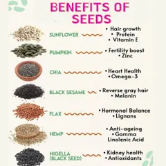 Seeds are nutritional powerhouses that can support various aspects of your health. This infographic details the benefits of different seeds, from pumpkin seeds for a fertility boost to flax seeds for hormonal balance and sunflower seeds for hair growth.