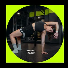 A client holds a crab reach position during an Animal Flow session. This movement opens up the chest and shoulders while building core and glute strength.